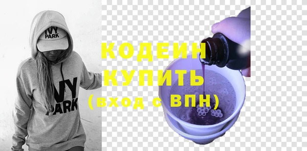 эйфоретик Гусь-Хрустальный